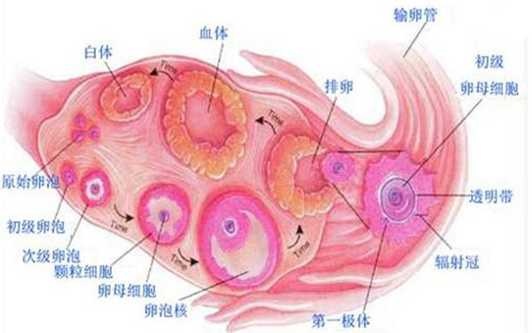 QQ截图20170623102848.jpg