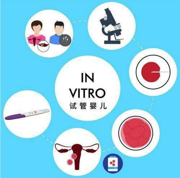 invitro.jpg