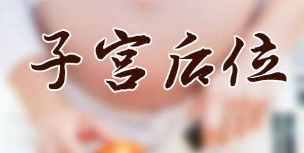 子宫后卫