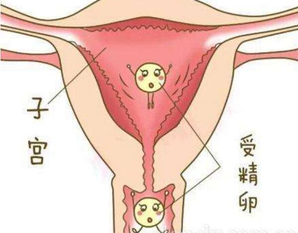 生化妊振