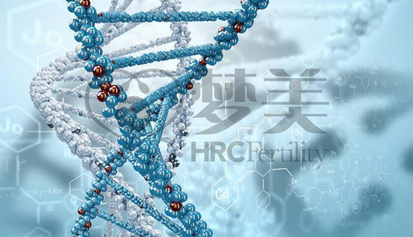 美国试管婴儿基因检测