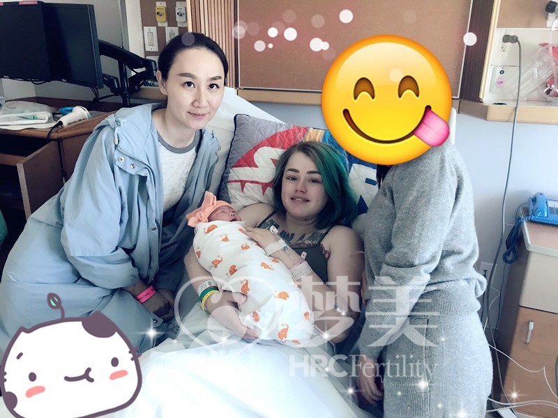 美国试管婴儿成功案例