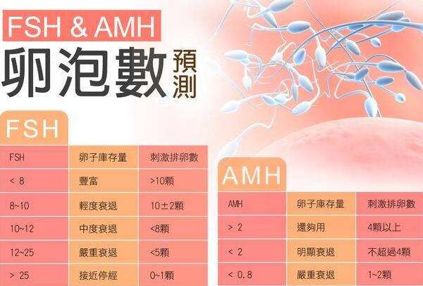 评估卵巢功能