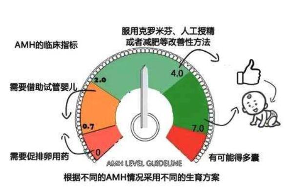 AMH