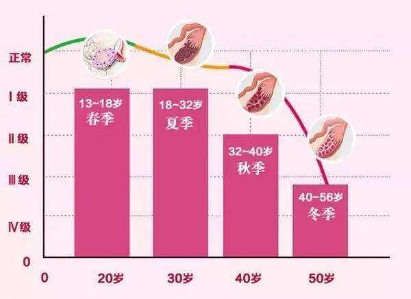 卵巢年龄