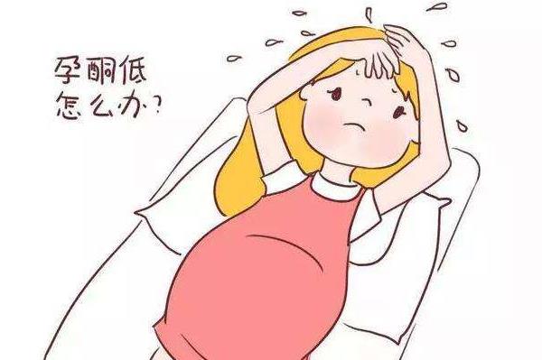 黄体酮对孕育