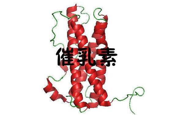催乳素