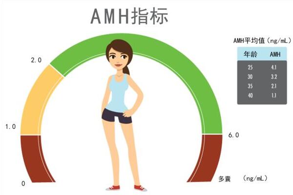 AMH值检查