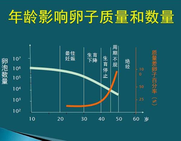 年龄与卵子的关系