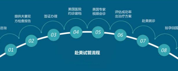 赴美试管婴儿流程