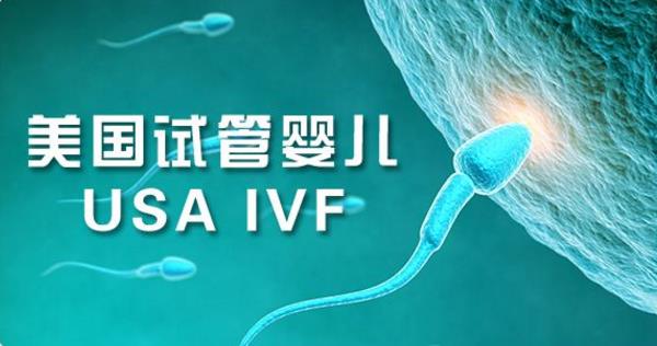 美国试管婴儿
