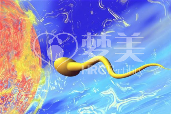 精卵结合