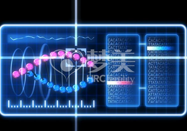 染色体