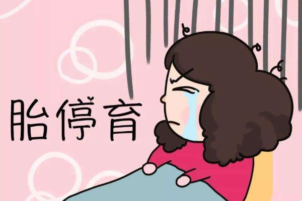 胎停育