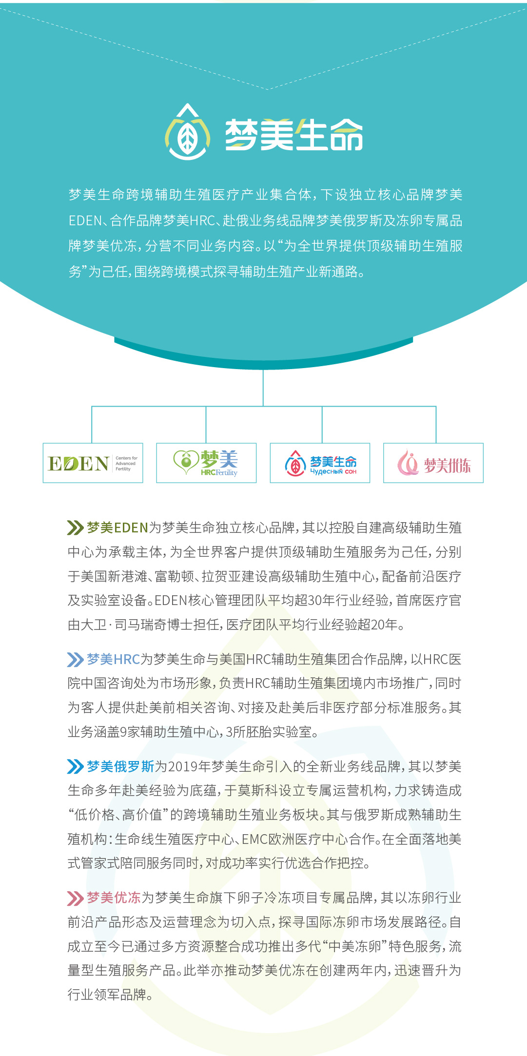 梦美生命简介