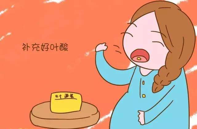 叶酸