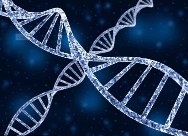 DNA
