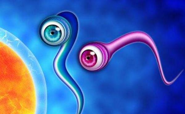 精子质量