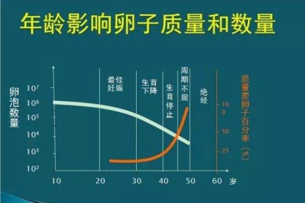 年龄影响卵子数量.jpg