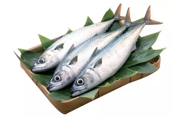 鱼类食物
