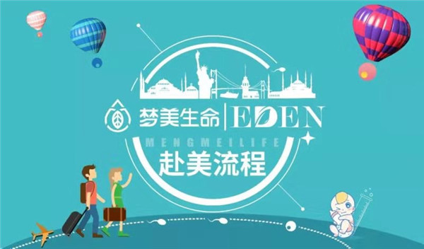 赴美试管流程