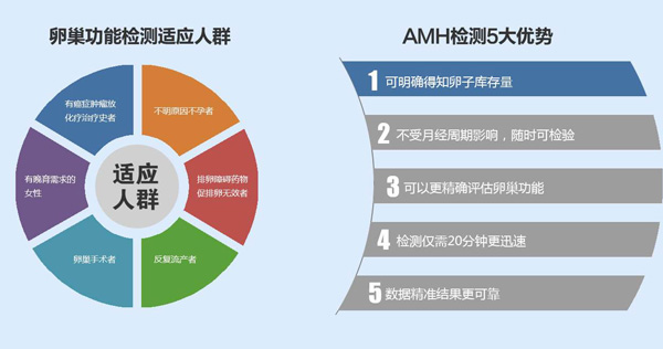 AMH-新-600.jpg