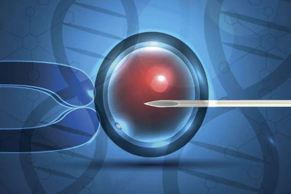 单精子注射与基因检测