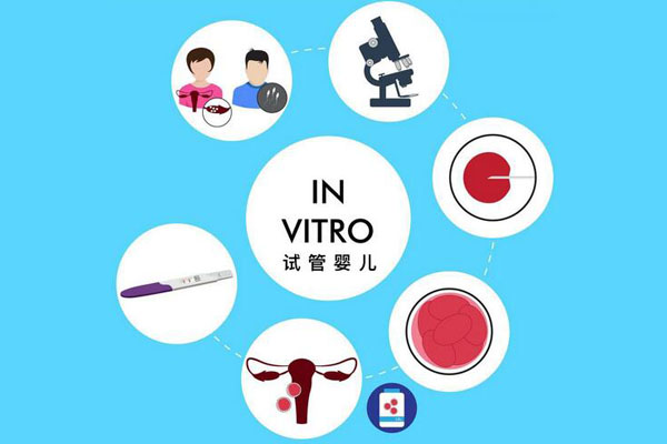 美国试管技术