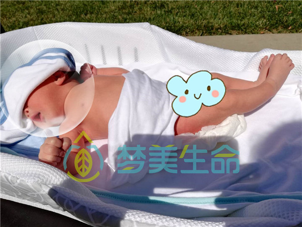 美国试管宝宝