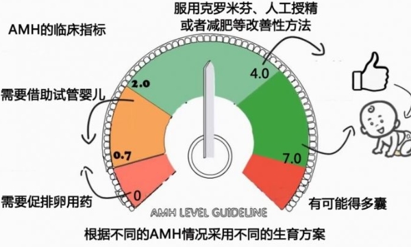 amh 