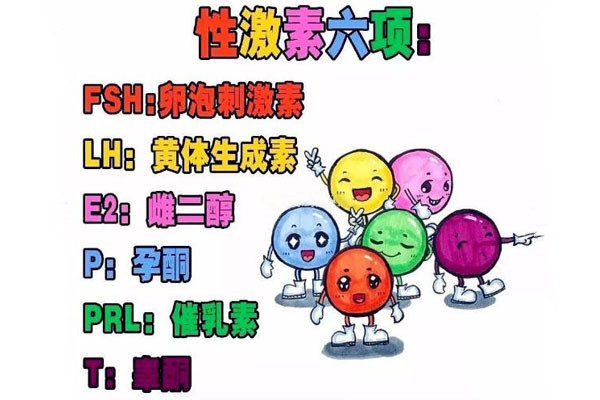 激素六项1.jpg