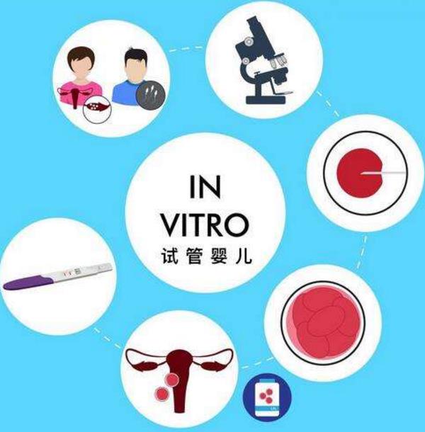 美国试管流程