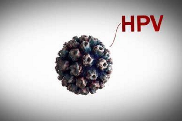 hpv