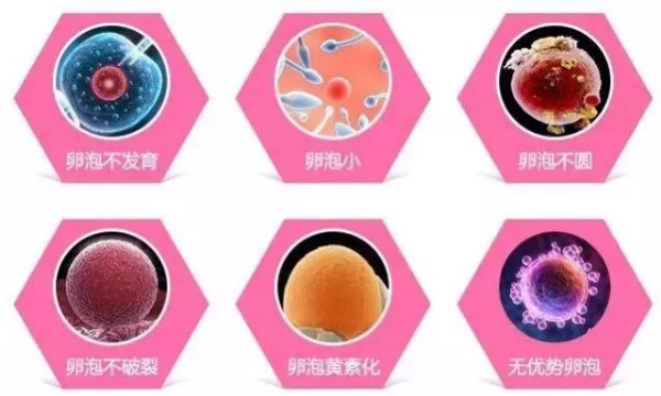 卵泡发育不良
