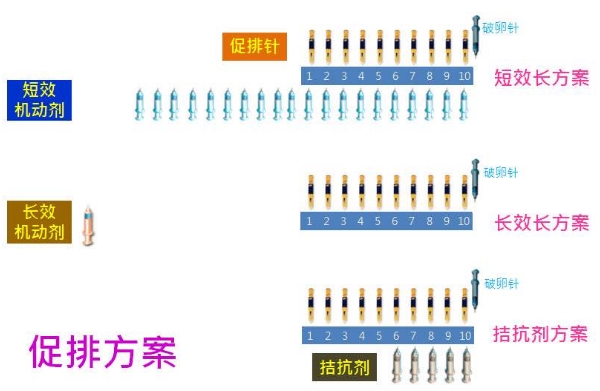 促排方案