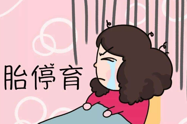 胎停