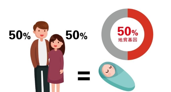 地中海夫妻遗传宝宝50%