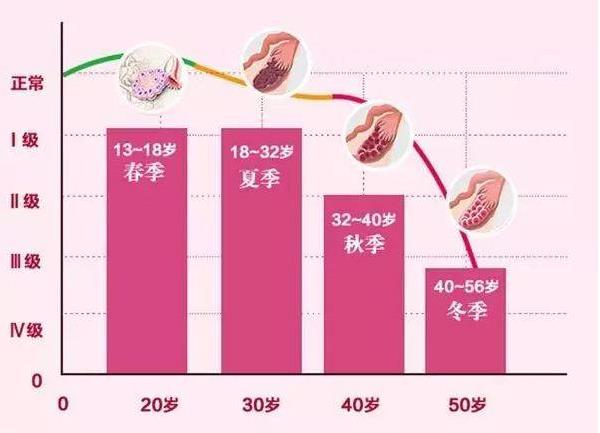 卵巢衰老