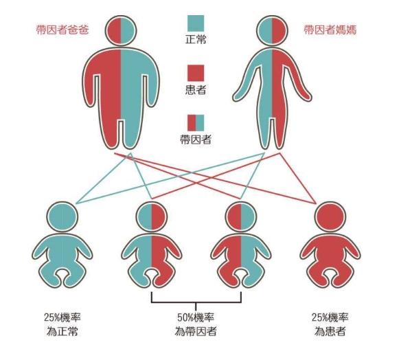 遗传