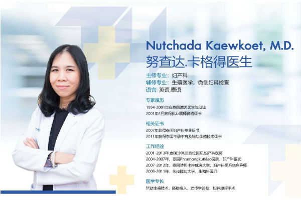 泰国试管婴儿专家