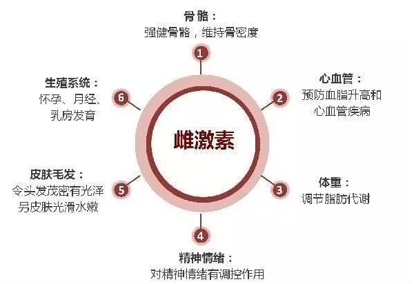 激素水平