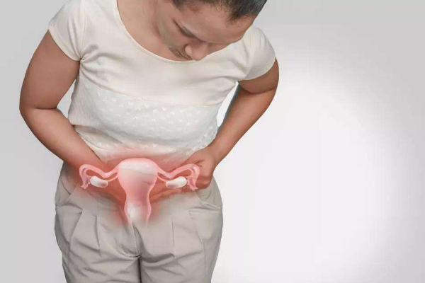 女性的免疫系统