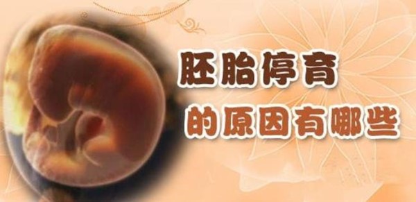 多次胎停