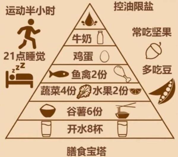 饮食规律
