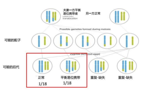 染色异常夫妻