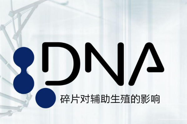 男性精子碎片率