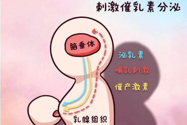 催乳素