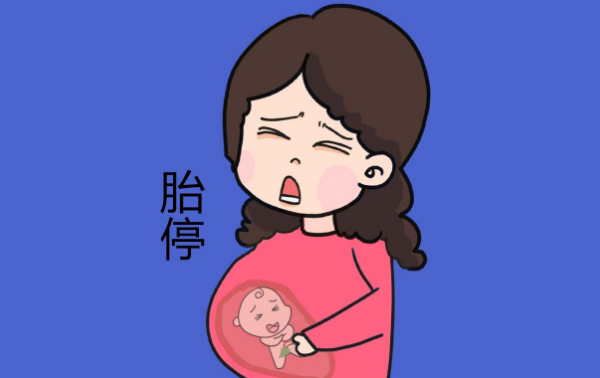 胎停2