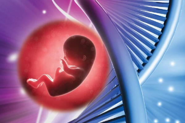 精子畸形去美国做试管，可以顺利完成IVF周期吗？