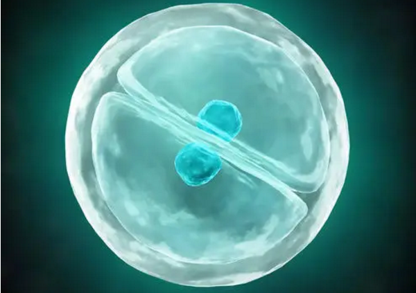 胚胎不着床，找出病因是关键